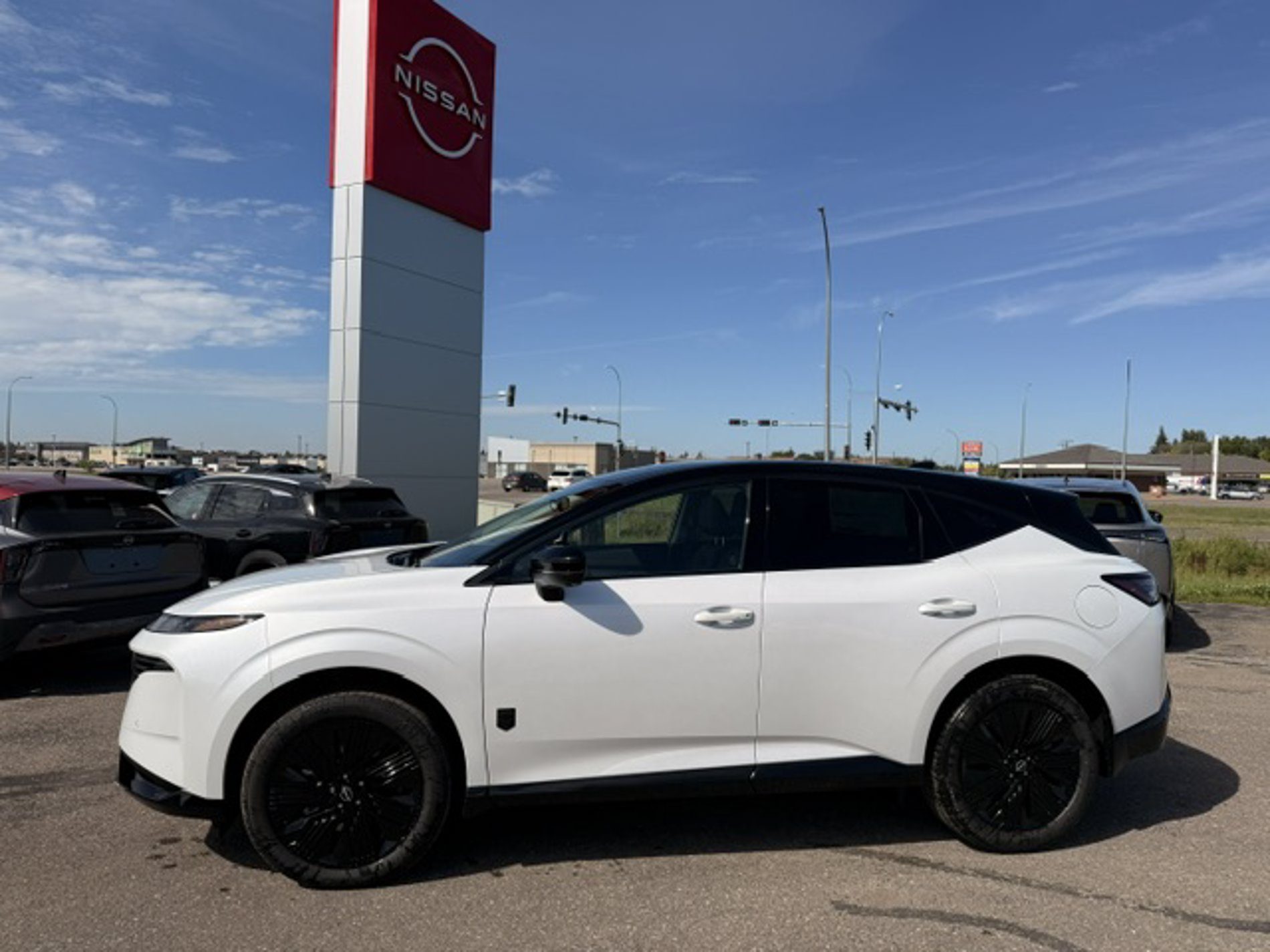 New 2027 Nissan Murano Dark Armor AWD Dark Armor at Haas Nissan for sale in Yorkton